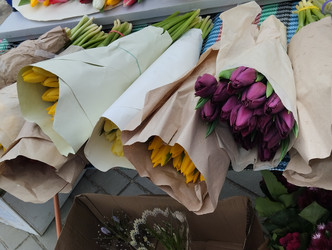 Similar image 21866326