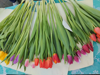 Similar image 21866327