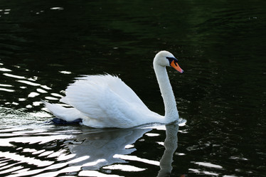 Similar image 21857554