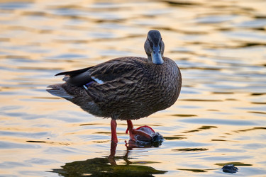 Similar image 21857555