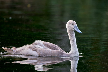 Similar image 21857556