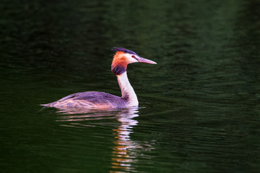 Similar image 21857558