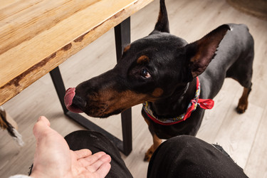 Similar image 21858232