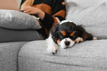 Similar image 21858235