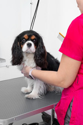 Similar image 21858236