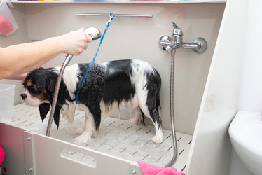 Similar image 21858238