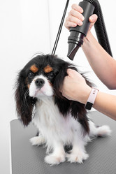 Similar image 21858239