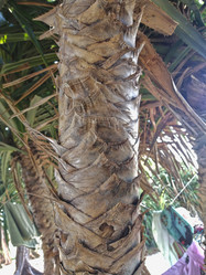 Similar image 21858240