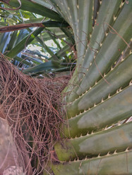 Similar image 21858241