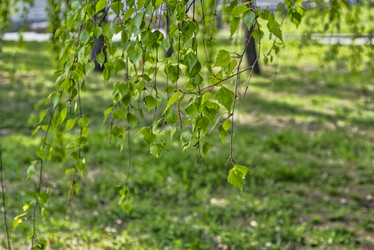 Similar image 21858243