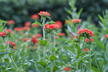 Similar image 21858245