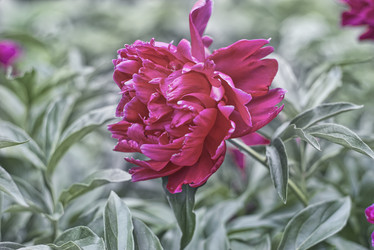 Similar image 21858246