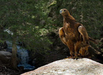 Similar image 21867398