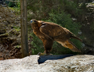 Similar image 21867400