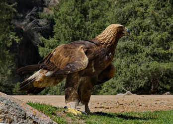 Similar image 21867401