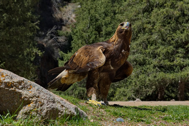 Similar image 21867402