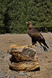 Similar image 21867403