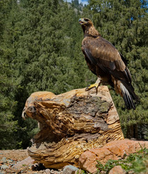 Similar image 21867404