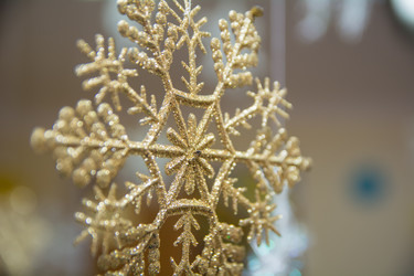 Similar image 21866495