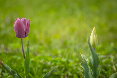 Similar image 21866496