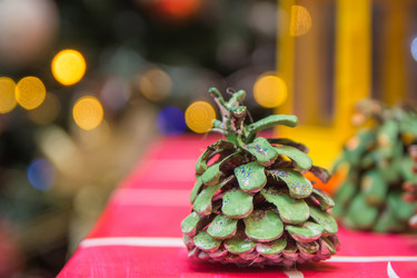 Similar image 21866497