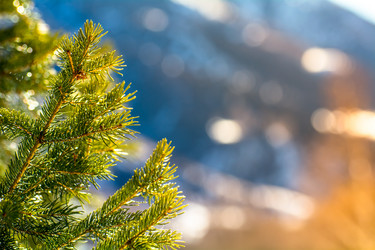 Similar image 21866499