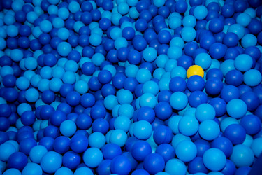 Similar image 21866501