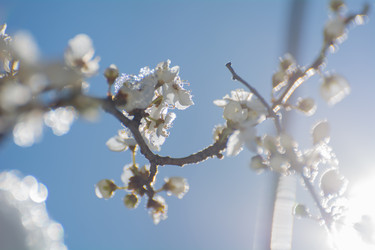 Similar image 21866510