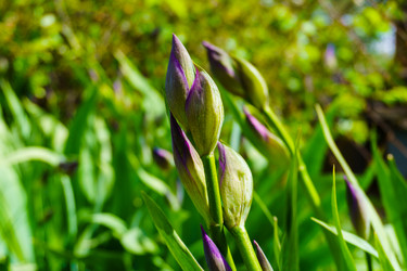 Similar image 21872380