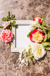 Similar image 21858892