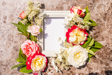 Similar image 21858893