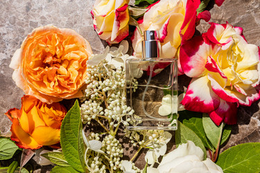 Similar image 21858894