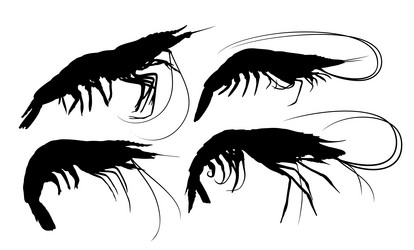 Similar image 21868538