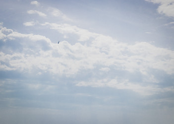 Similar image 21866540