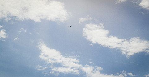 Similar image 21866542