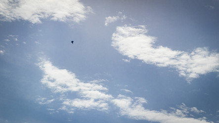 Similar image 21866544