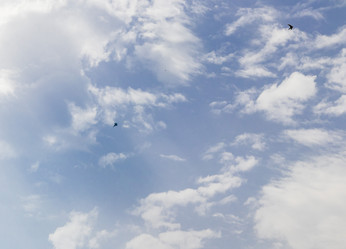 Similar image 21866548