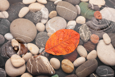 Similar image 21866891