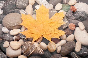 Similar image 21866894