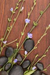 Similar image 21866895