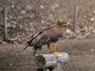 Similar image 21858248