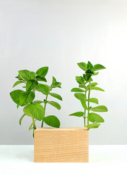 Similar image 21865554