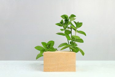 Similar image 21865555