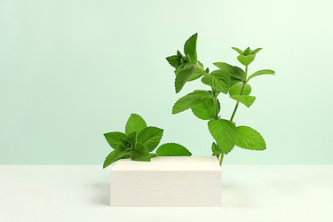 Similar image 21865556