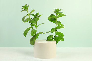 Similar image 21865557