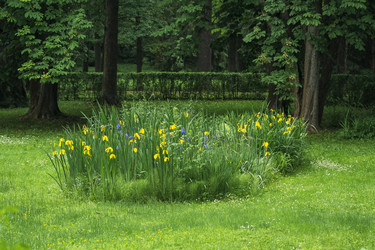 Similar image 21858309