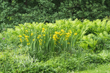 Similar image 21858310