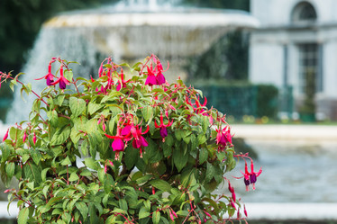 Similar image 21858312