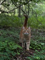 Similar image 21858557