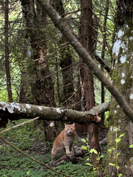 Similar image 21858558